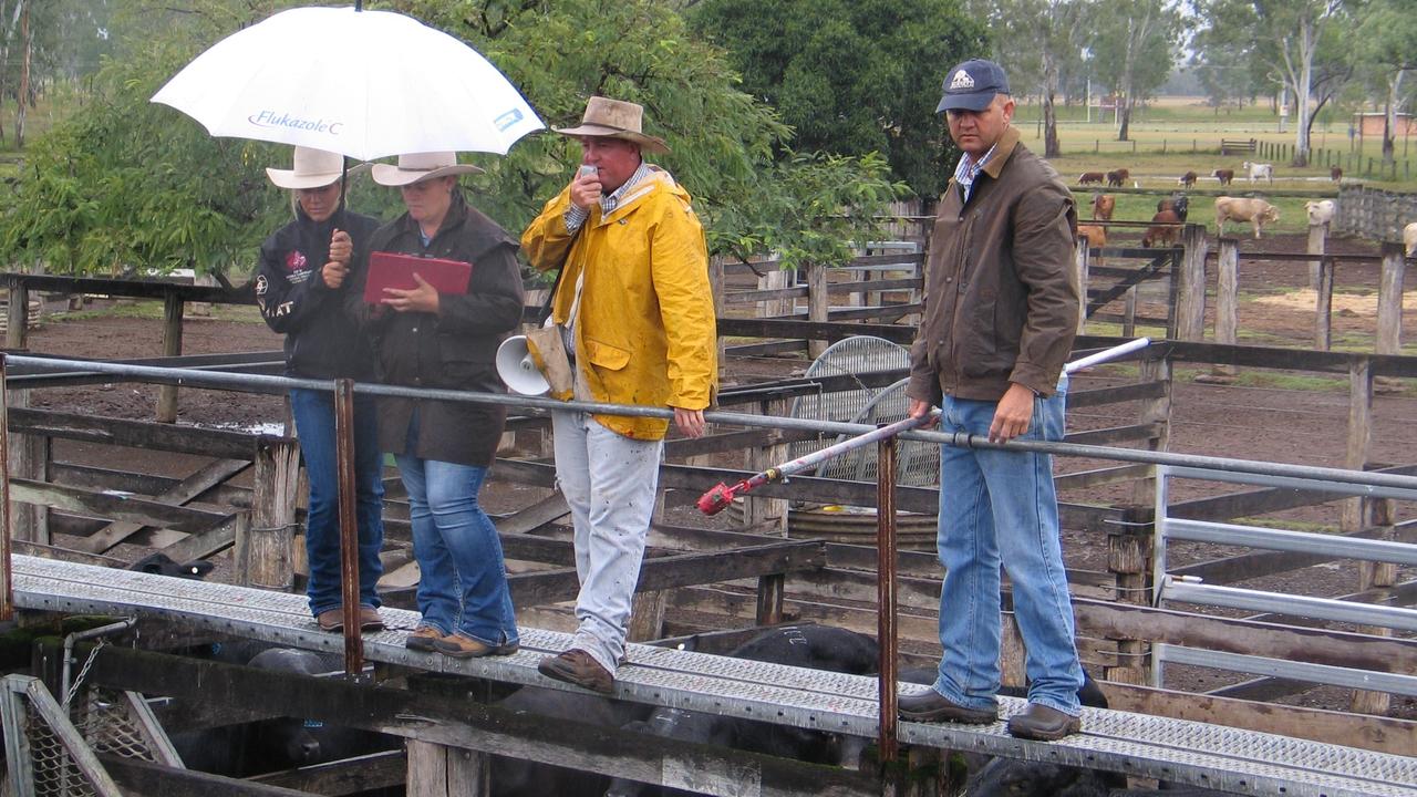 This selling team was dressed for the weather. Picture: Erica Murree / Central and North Burnett Times