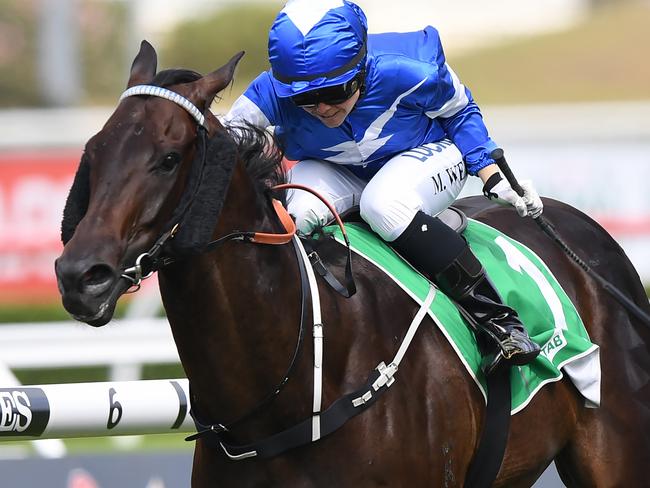 Nic's Vendetta, ridden by Mikayla Weir, takes the lead in the TAB Highway Handicap. Picture: AAP