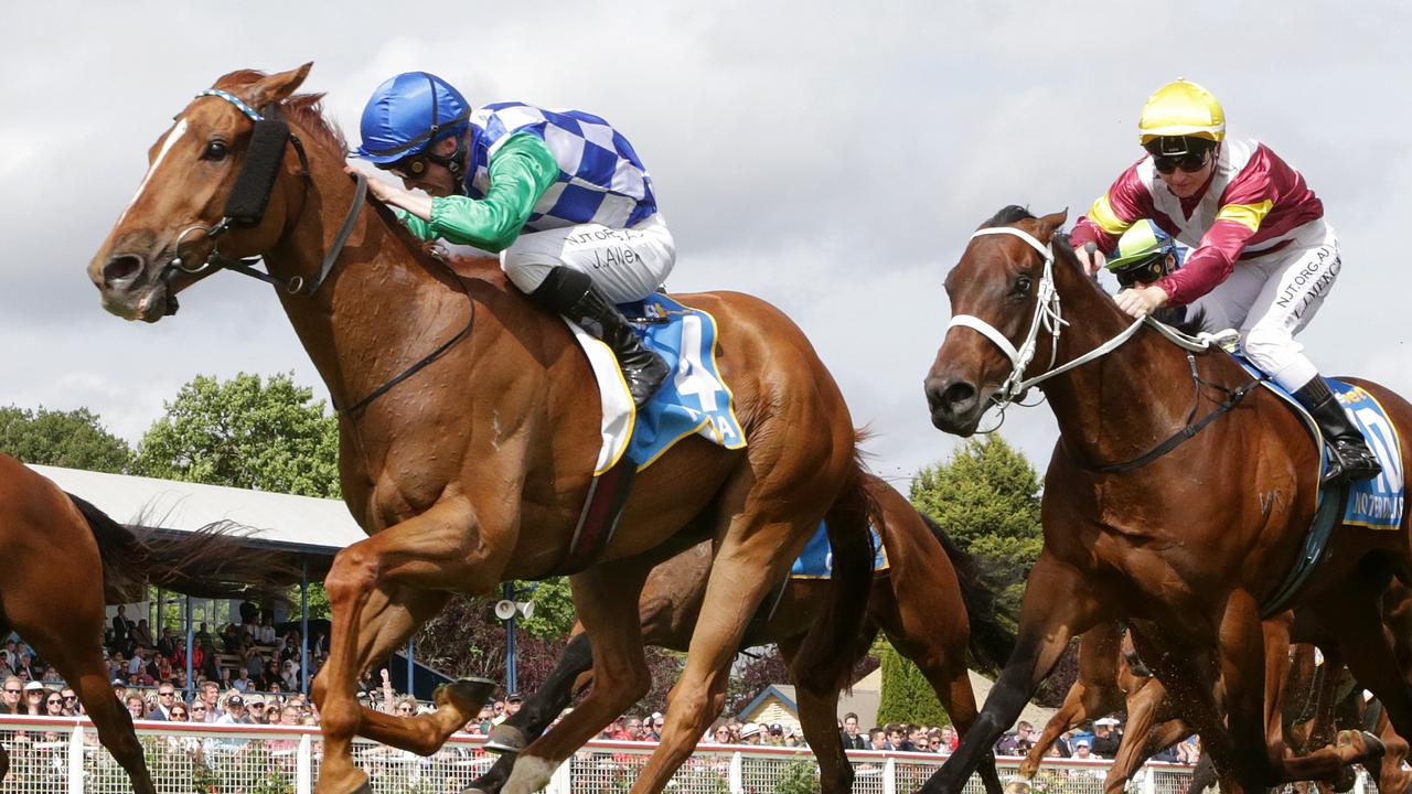 John Allen steered Kiwia to a thrilling win in the Ballarat Cup. Picture: Getty Images