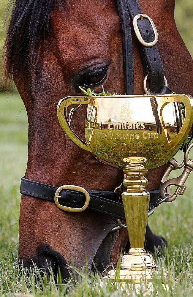 Almandin has a pick next to his greatest achievement at Macedon Lodge. Picture: Ian Currie