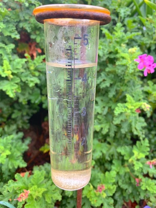 Greenlands northwest of Stanthorpe in the Granite Belt recorded massive rainfalls Saturday night of 118mm. Photo: Ozzy Graf