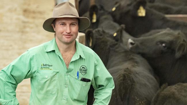 LIVESTOCK: Pakenham cattle salesPakenham cattle sales at Pakenham saleyards.PICTURED: Auctioneer Anthony Delaney.PICTURE: ZOE PHILLIPS