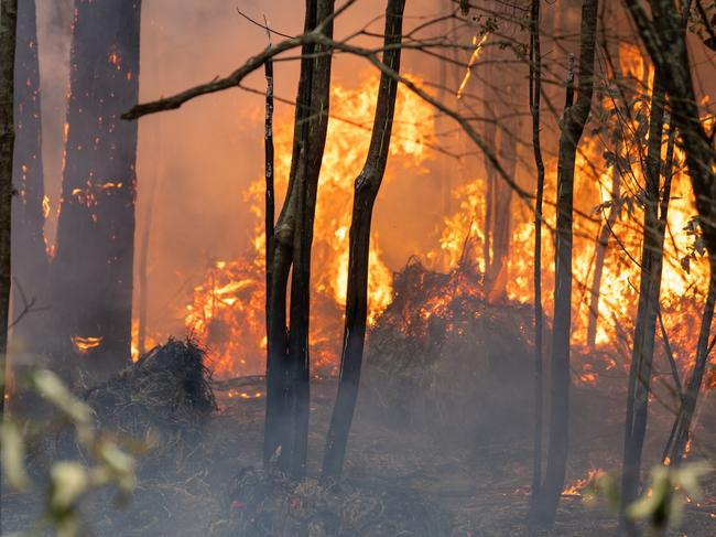 Fire tears through hectares of bushland at Snug Tiers. Photo: Tasmania Fire Service