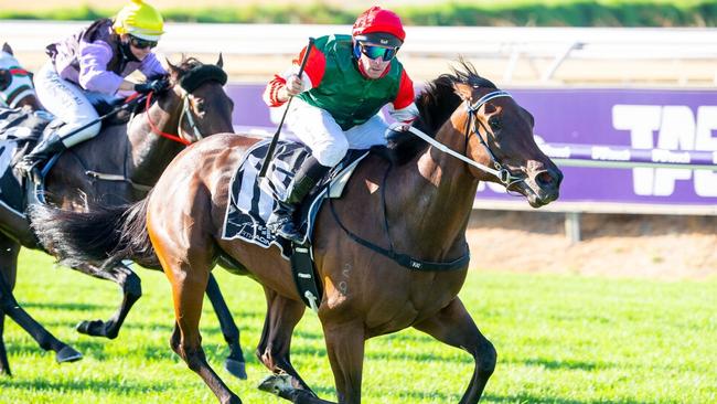 Amelia’s Jewel will have her first trial in Perth on Monday. Picture: Western Racepix.