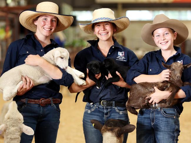 Pictured in the farmyard nursery at the 2021 Sydney Royal Easter Show, students from Bathurst, (L-R) Eva Green 14 with a lamb, Pip Webb 14 with Kelpie pups and Paige Hatton with a baby goat. Picture: Tim Hunter.