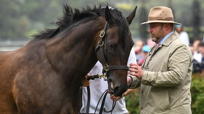 Peter Moody was reunited with his champion sprinter Black Caviar at Flemington in Lightning Stakes Day. Picture: AAP