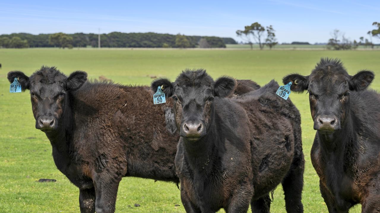 Warrong, is fenced into 30 main paddocks and offers infrastructure including a shearing shed, sheep yards, two steel cattle yards and two sheds.