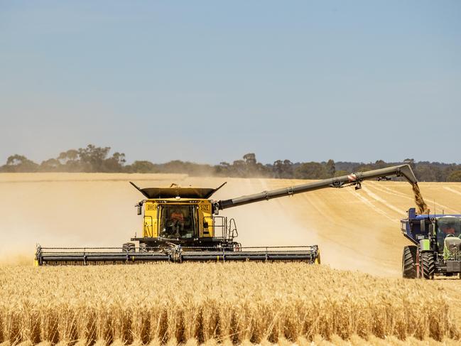 CROPS: Harvest Rob MountjoyRob Mountjoy is harvesting wheat on his farm at NeilboroughPICTURED: Generic farm. Harvesting 2024. Hedder. Wheat harvest. Stock photo. Picture: Zoe Phillips