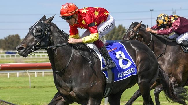 Bunker Hut looks well placed to score at Canterbury on Wednesday. Picture: Bradley Photos