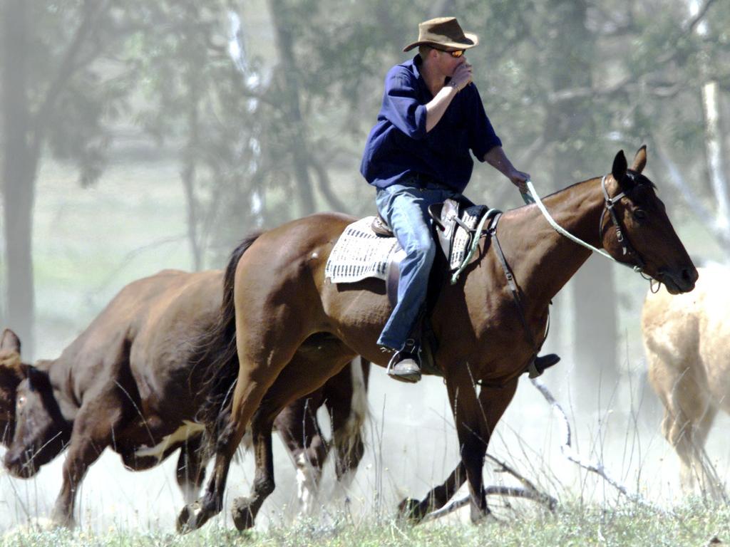 Prince Harry herding cattle in southern Queensland in 2003. Picture: AAP