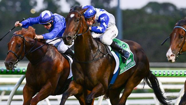 Payline has emerged as a Group 1 contender. Picture: Trackside Photography