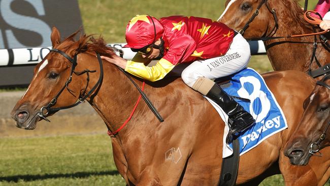 Prime Star shapes as Peltzer’s biggest danger in the Bondi Stakes. Picture: Getty Images