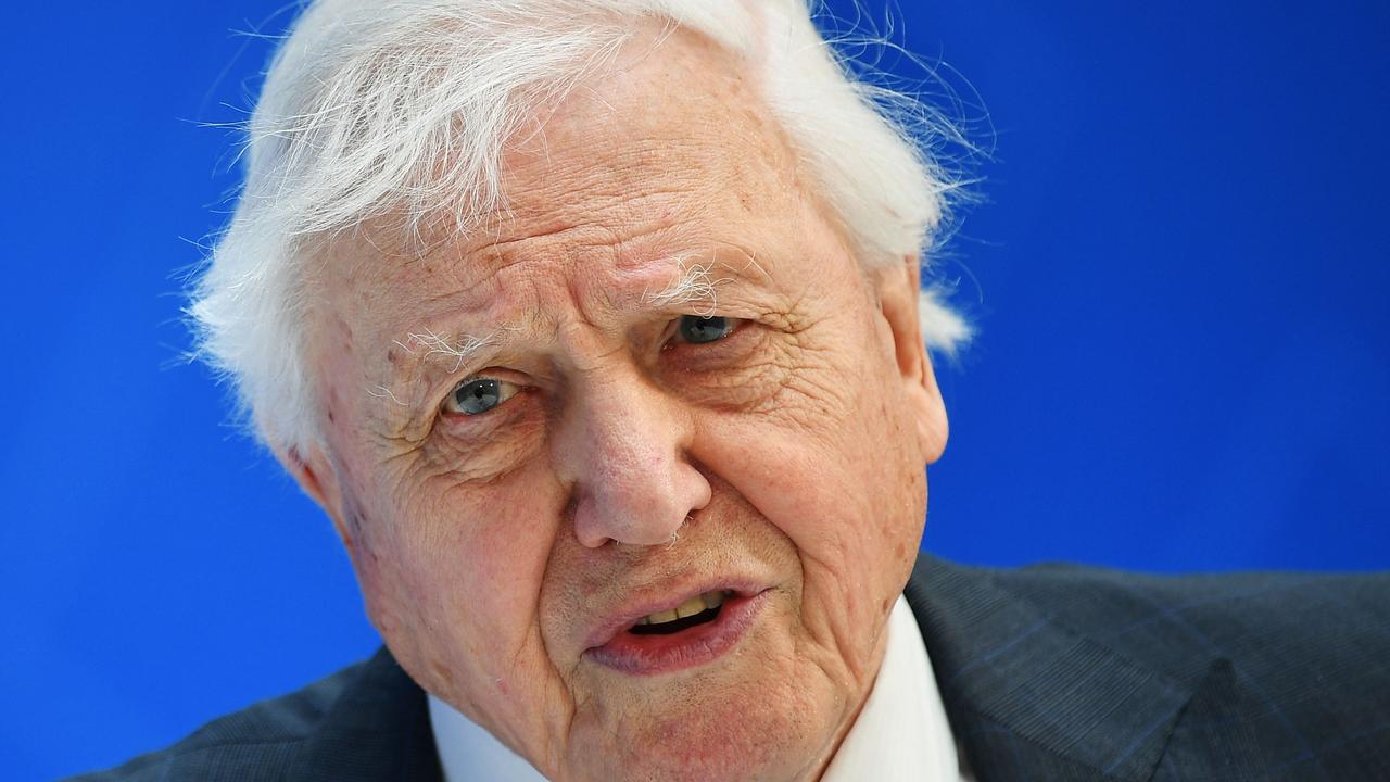 David Attenborough has been a staunch environmental advocate for decades. Picture: Mandel Ngan/AFP 