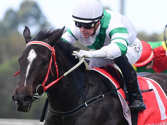 Kisukano winning at the Sunshine Coast. Picture: Trackside Photography
