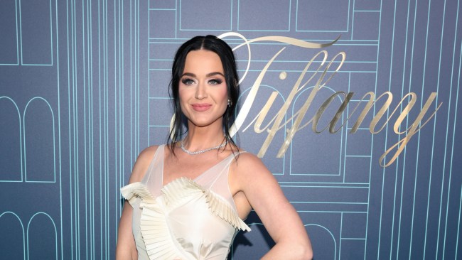 Katy Perry appeared to have put creating new music on the back burner as she focused on building a family with fiancé Orlando Bloom, in addition to securing a role as judge on ABC's revamped "American Idol." Picture: Getty