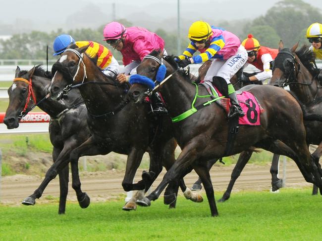 Winner of race 6 'Pink Silks Cup' was no.6 'Speed Of Dark' riden by jockey Kasie Stanley. Pinks Silks Race day at the Coffs Harbour Racing Club.January 11, 2015Photo: Leigh Jensen / Coffs Coast Advocate