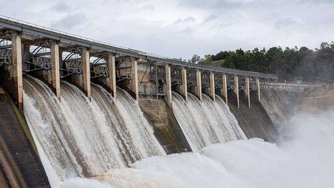 Flooding around the Macalister River flowing out of Lake Glenmaggie. Picture: Jason Edwards