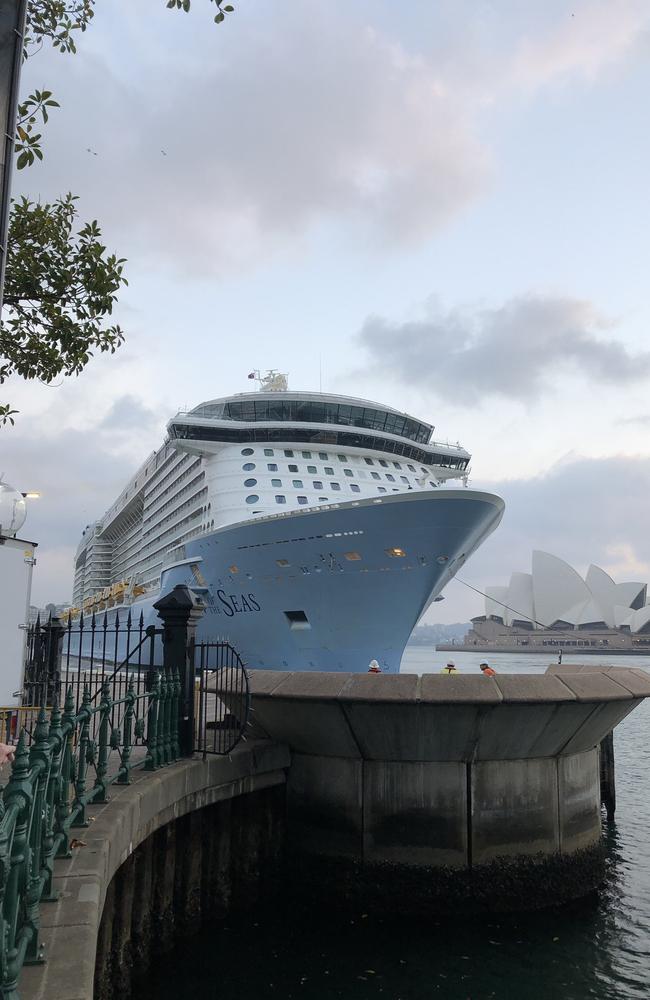 The Ovation of the Seas docks in Sydney this morning. Picture: Perry Duffin