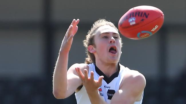 Midfielder Tom McKenzie set to be one of Northern Knights’ top AFL ...