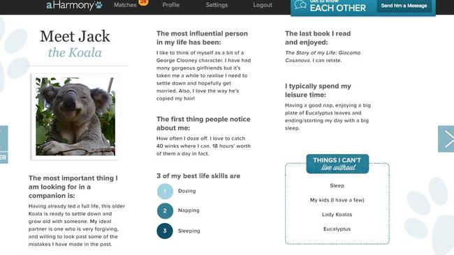 The spoof aHarmony dating site for aniamls features a profile for Jack the Koala.