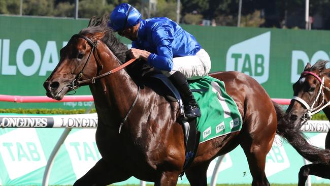 Champion galloper Anamoe is set to land a ninth Group 1 in the George Ryder Stakes at Rosehill on Saturday. Picture: Grant Guy