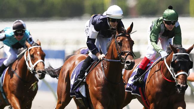 Jockey Damian Lane rides King Of Leogrance to victory in the Roy Higgins Quality on Australian Guineas Day at Flemington on Saturday. Picture: AAP Image/Vince Caligiuri