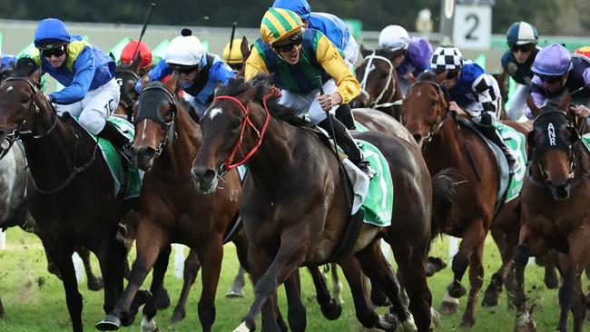 Epsom Handicap winner Ceolwulf was one of three horses that received Caulfield Cup weight penalties on Monday. Picture: Getty Images.