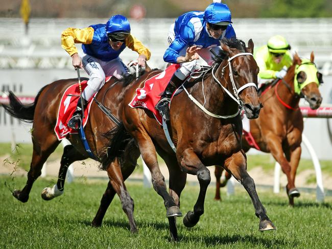 Superstar Winx easily has the measure of Black Heart Bart in the Caulfield Stakes. Picture: Colleen Petch