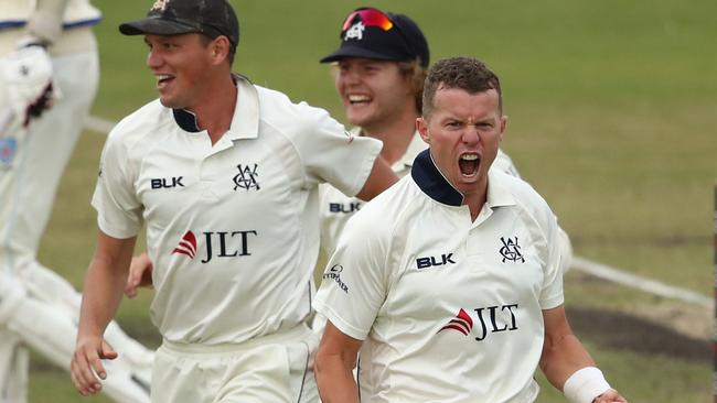 Peter Siddle celebrates after dismissing Trent Copeland of New South Wales in the Sheffield Shield final at Junction Oval.