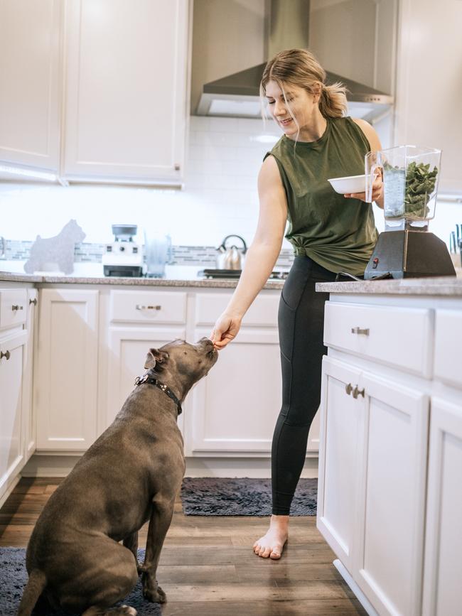 A pet food cupboard could be a good idea.