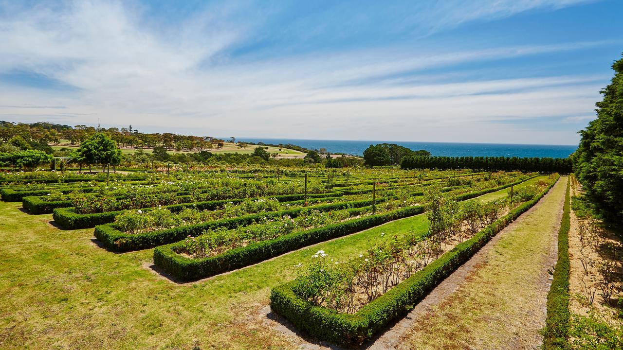 … and historic vineyards.