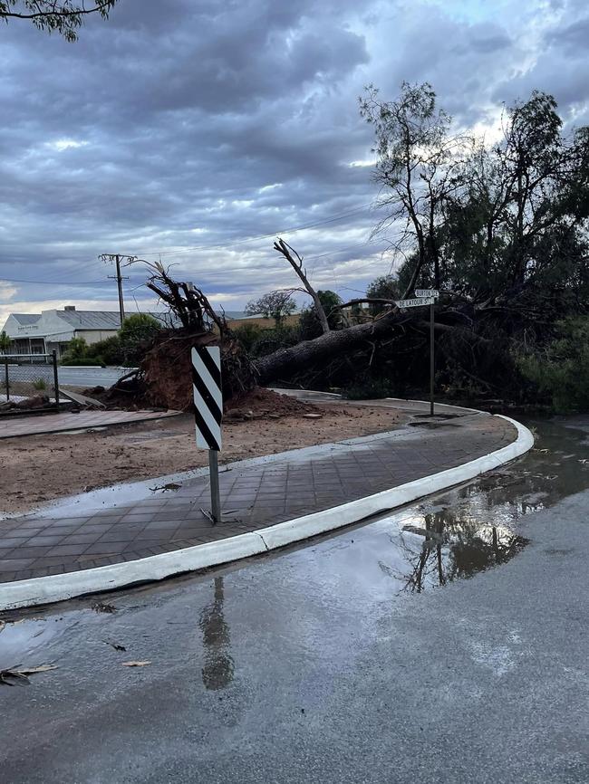 Storm damage at Wudinna on the Eyre Peninsula. Picture: Wudinna District Council