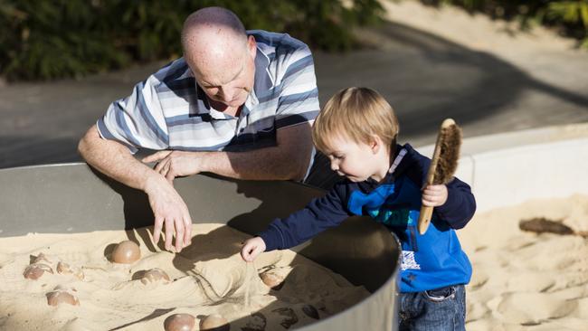 A toddler and his father uncovering fossils in the 'Dinosaur Dig' sand pit in the Children's Gallery outdoor playground at the Melbourne Museum.