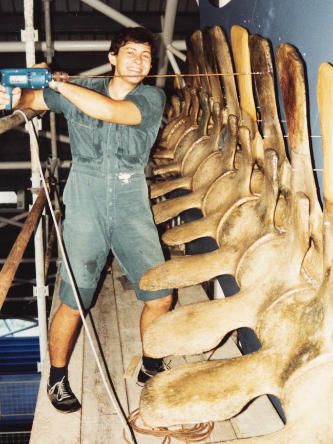 A young Jared Archibald helps to install the whale skeleton in the museum’s maritime gallery (circa 1991-92). Picture: Ian Archibald