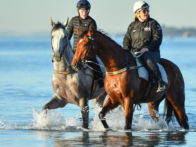 Morning paddle: Johanne Taylor rides The Autumn Sun alongside D'argento at Altona Beach on Sunday. Picture: Getty Images