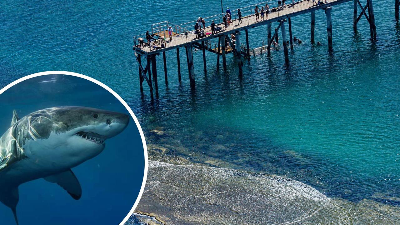 Man seriously injured in shark attack at Adelaide beach
