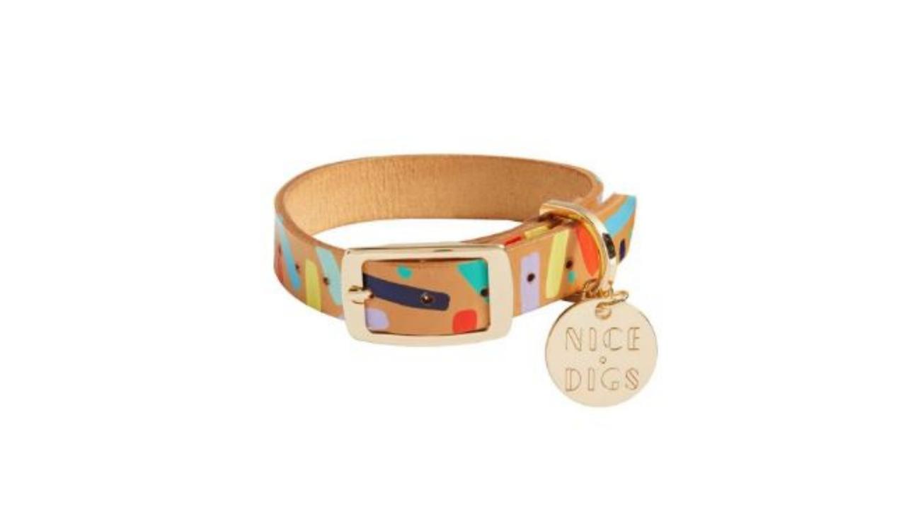Nice Digs Confetti Leather Dog Collar. Image: hardtofind.