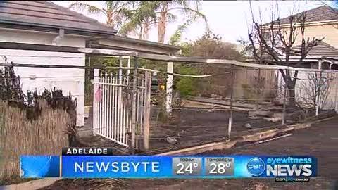 Adelaide’s Afternoon Newsbyte - 31/01/2018