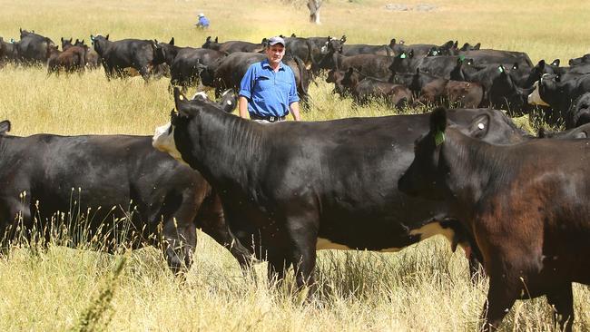 Richard Norton: Meat and Livestock Australia’s managing director has ...