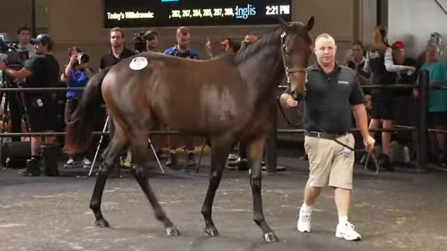 Winx and Pierro filly Lot 391 sold for $10 million.