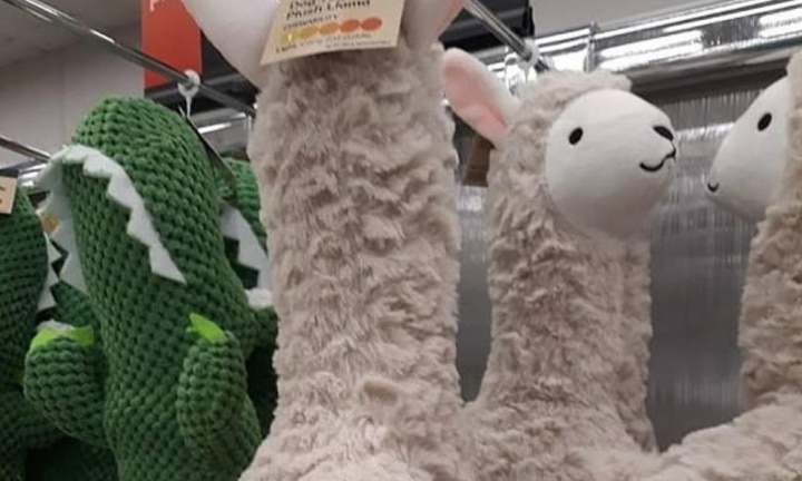 kmart plush dog