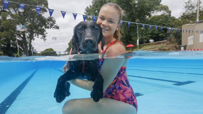 Doug gets a swim with his owner Sophia Myszka. Picture: Alex Coppel.