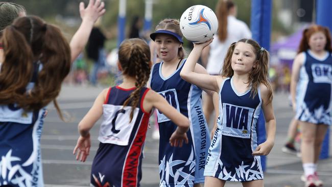 The design of Narellan Sports Hub stage two is expected to be complete by early next year. Picture: Robert Pozo