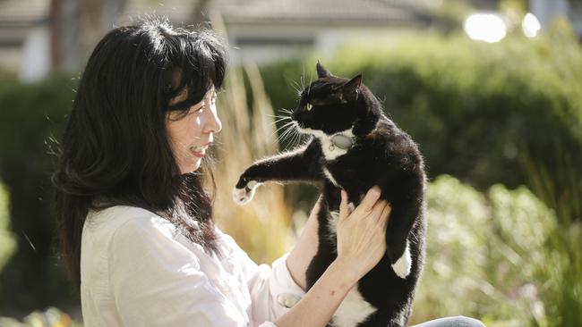 Leanne Harris's cat Jensen has been returned to her after having been missing for 11 months. Picture: Valeriu Campan