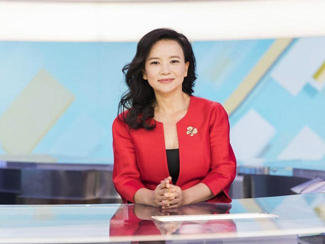Cheng Lei worked for CNBC in Singapore and Shanghai before moving to CGTN and becoming the face of the network.