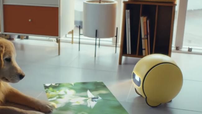 Samsung's Ballie smart home robot will be available later this year.