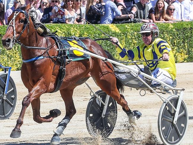 Tough Monarch (right) wins the Group 1 trotters’ free-for-all from McLovin in Addington, New Zealand on Tuesday, November 12, 2019. Picture: SUPPLIED