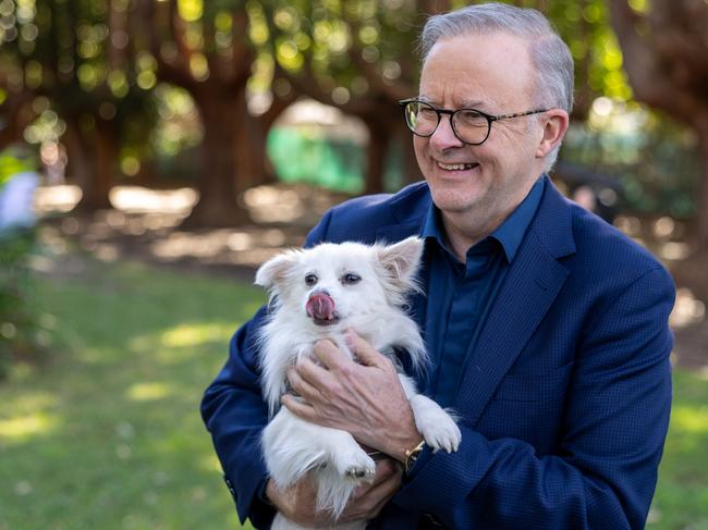 SYDNEY, AUSTRALIA - NewsWire Photos JUNE 24, 2023. Prime Minister, Anthony Albanese joins Georgie Dent and families in Petersham.Picture NCA NewsWire /Seb Haggett