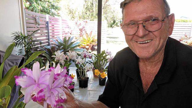 SHOWING OFF: Maryborough District Orchid Society treasurer Des Laurenceson with the orchids which will go on display from today. Picture: Boni Holmes