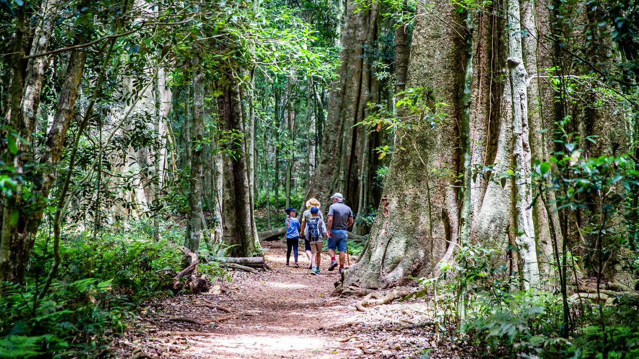 The state government has recently announced the Bunya Mountains, a popular tourist destination in the South Burnett, will receive a $6.46 million injection to upgrade the national park.